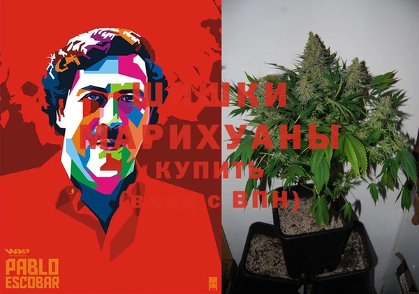 гидра Новодвинск